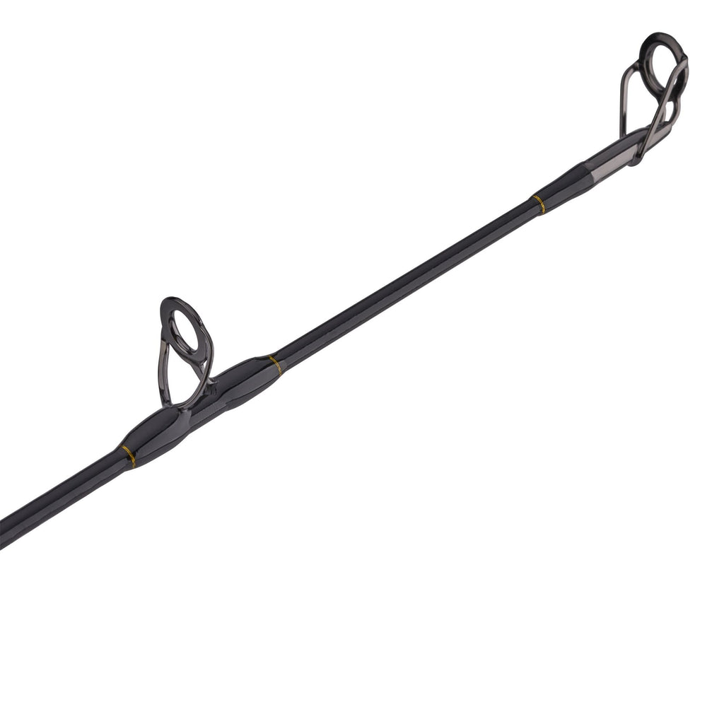 Squall® II Lever Drag Conventional Combo